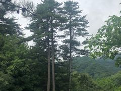 -玉渡山自然风景区