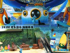 -海合安天津极地海洋公园