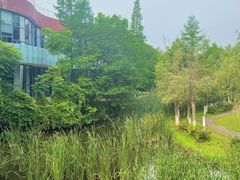 -橘子餐厅(光谷生物城店)