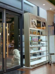 -艺米阳光Hair Salon