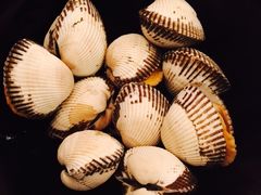 -舟山希尔顿酒店