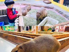 -顺德南宏海立方海洋公园