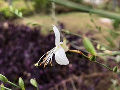 -上海浦江郊野公园-4号停车场