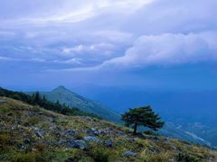-灵山