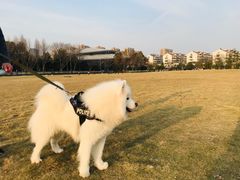 -杭州城北体育公园