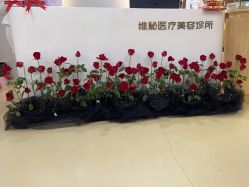 -维秘形体医美 M·VVON医生集团