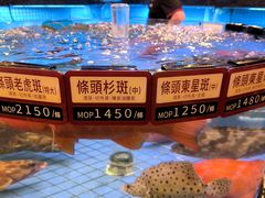 -金悦轩海鲜城(渔人码头店)