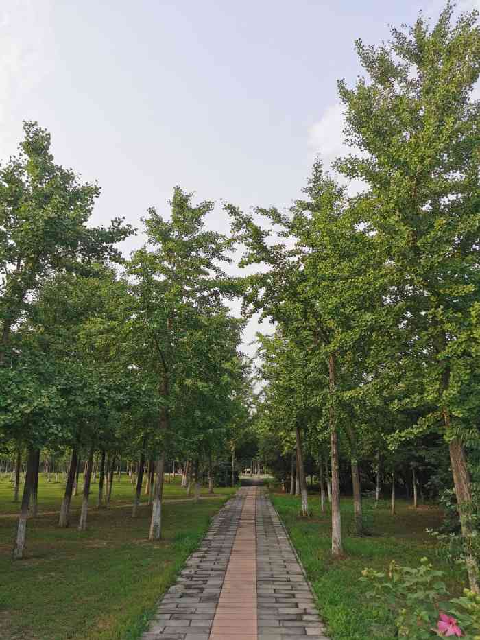 北京朝來森林公園