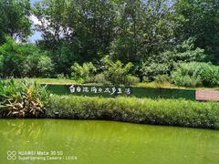 -江门古劳水乡旅游区