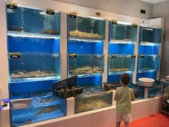 -赶海部落海鲜城(海阳路店)