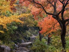 -虞山风景区