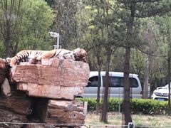 -秦皇岛野生动物园