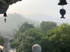 -国恩寺