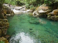 -鼎香皇高佬苏裹蒸粽