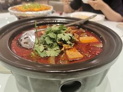 全家福毛血旺-马旺子酒楼