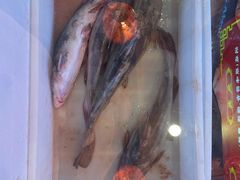 -江湖水乡铁锅炖魚(周庄嘉园店)