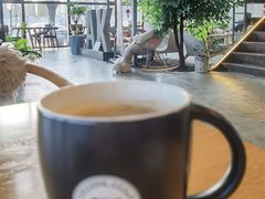 -了不起的考拉咖啡店(高新店)