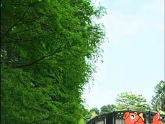 -华南国家植物园-售票处