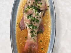 -林记象山海鲜(广灵二路店)