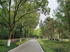 -昆山城市生态森林公园