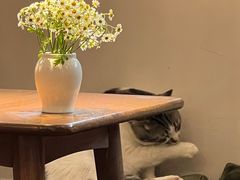 -echoes coffee回响咖啡(888街店)