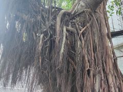 -小洲村