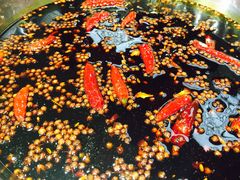 微辣锅底-大龙火锅(老店)