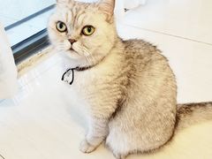 -Oasis绿洲银饰珍珠手作diy(壹方城店)