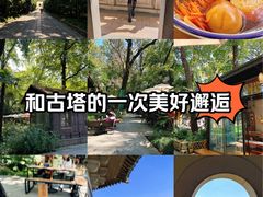 -灵谷景区