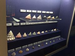 展品-广东省博物馆