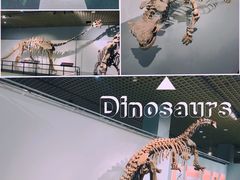 -大连博物馆