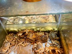-领鲜活海鲜榴莲自助火锅(东门店)