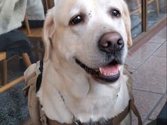 -鲜粉匠·鲍汁肠粉(民治店)