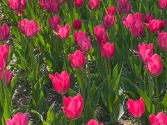 -长春公园(普阳街道)