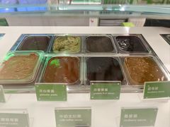 -Salud撒露欧洲冻酸奶(五道口购物中心店)