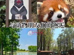 -合肥野生动物园