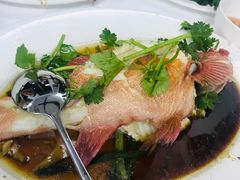 -新陶陶酒家