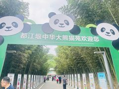 -都江堰中华大熊猫苑