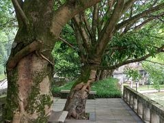 -西南交通大学(峨眉校区)