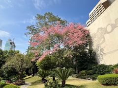 -广州花园酒店