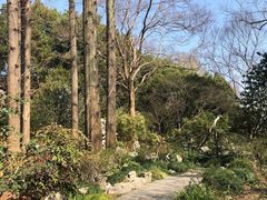 -上海醉白池公园