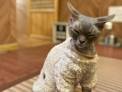 -MOCHA明星猫咖(田子坊店)