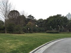 iphone_upload_pic-上海瑞金洲际酒店