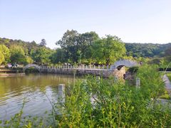 -龙寺生态园
