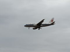 -空港花田景区