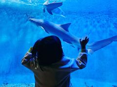 -太平洋海底世界