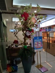 -芳朵美容养生SPA