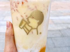多肉芒芒甘露-喜茶(深圳海岸城店)