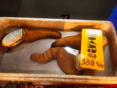-寻味顺德·南记酒家·传统顺德菜·鱼生(广源路店)