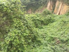 -平湖九龙山旅游度假区